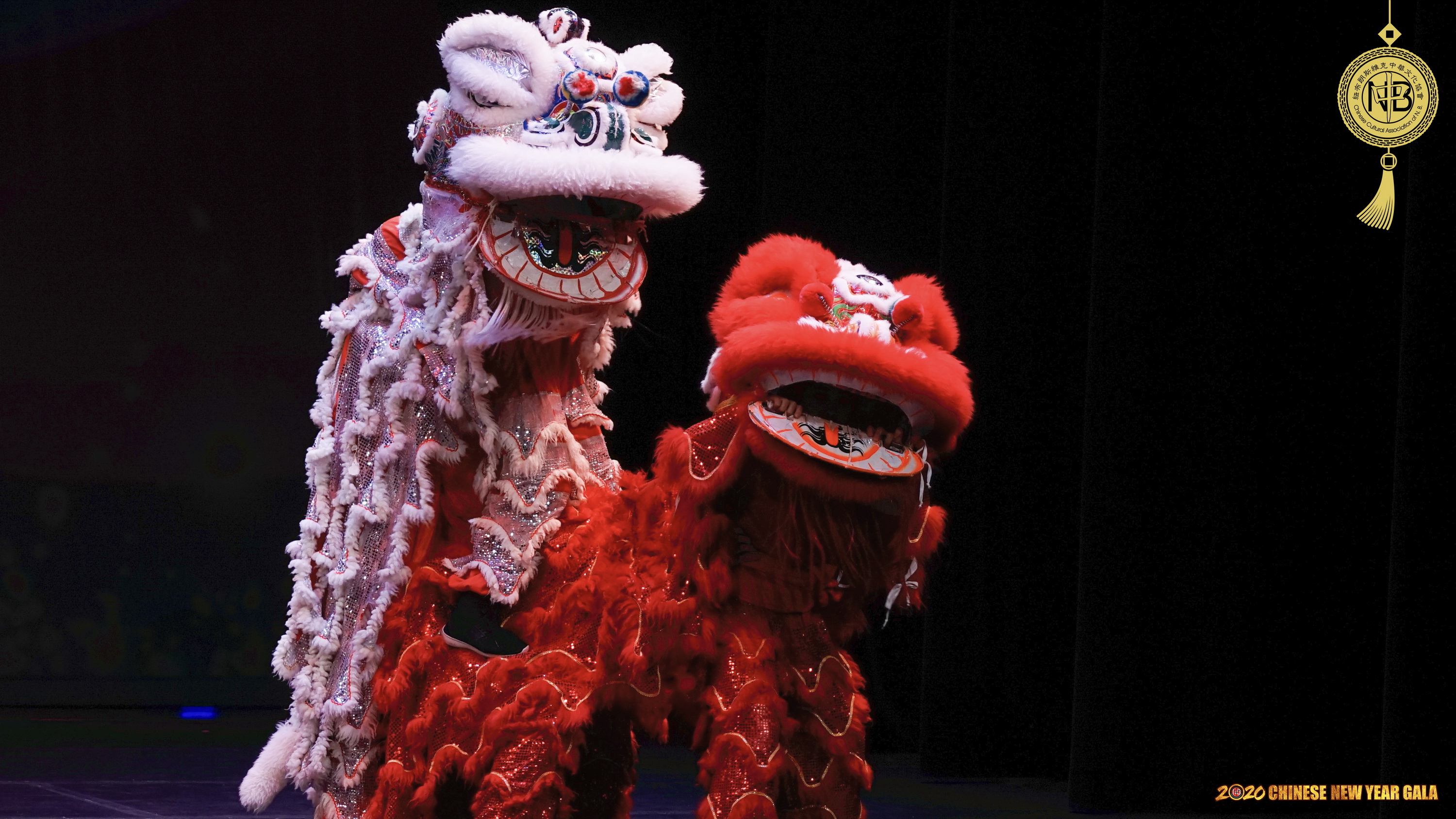 2020-CCANB-CNY-GALA-08.jpg