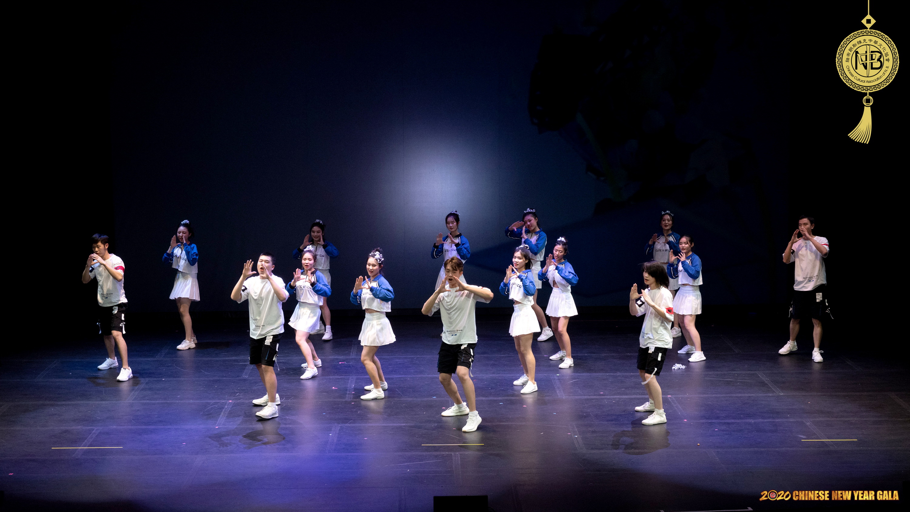 2020-CCANB-CNY-GALA-13.jpg