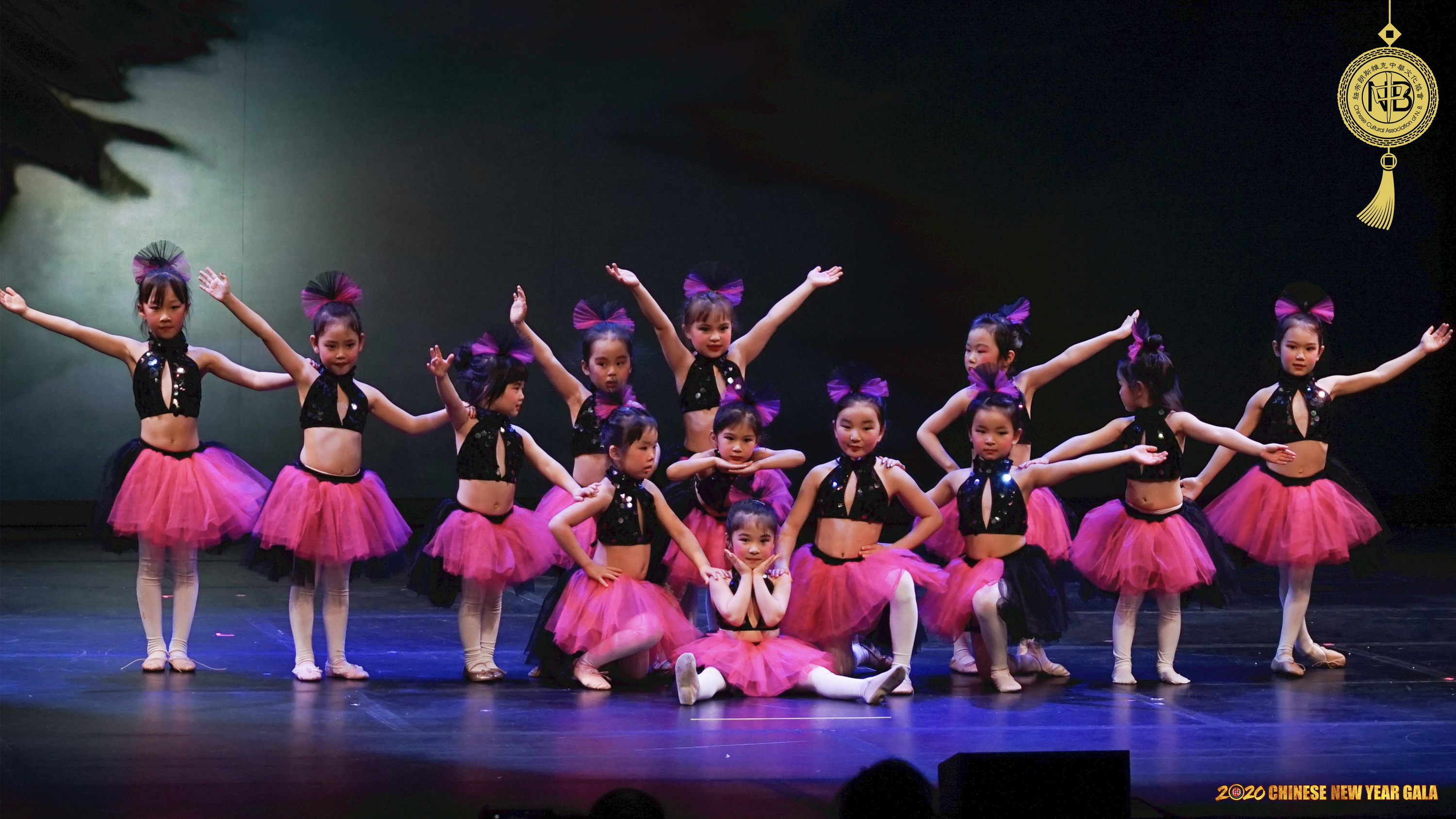 2020-CCANB-CNY-GALA-15.jpg