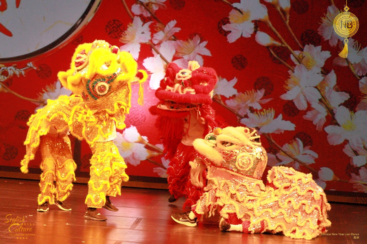 20250319-CCANB-LION-DANCE.jpg