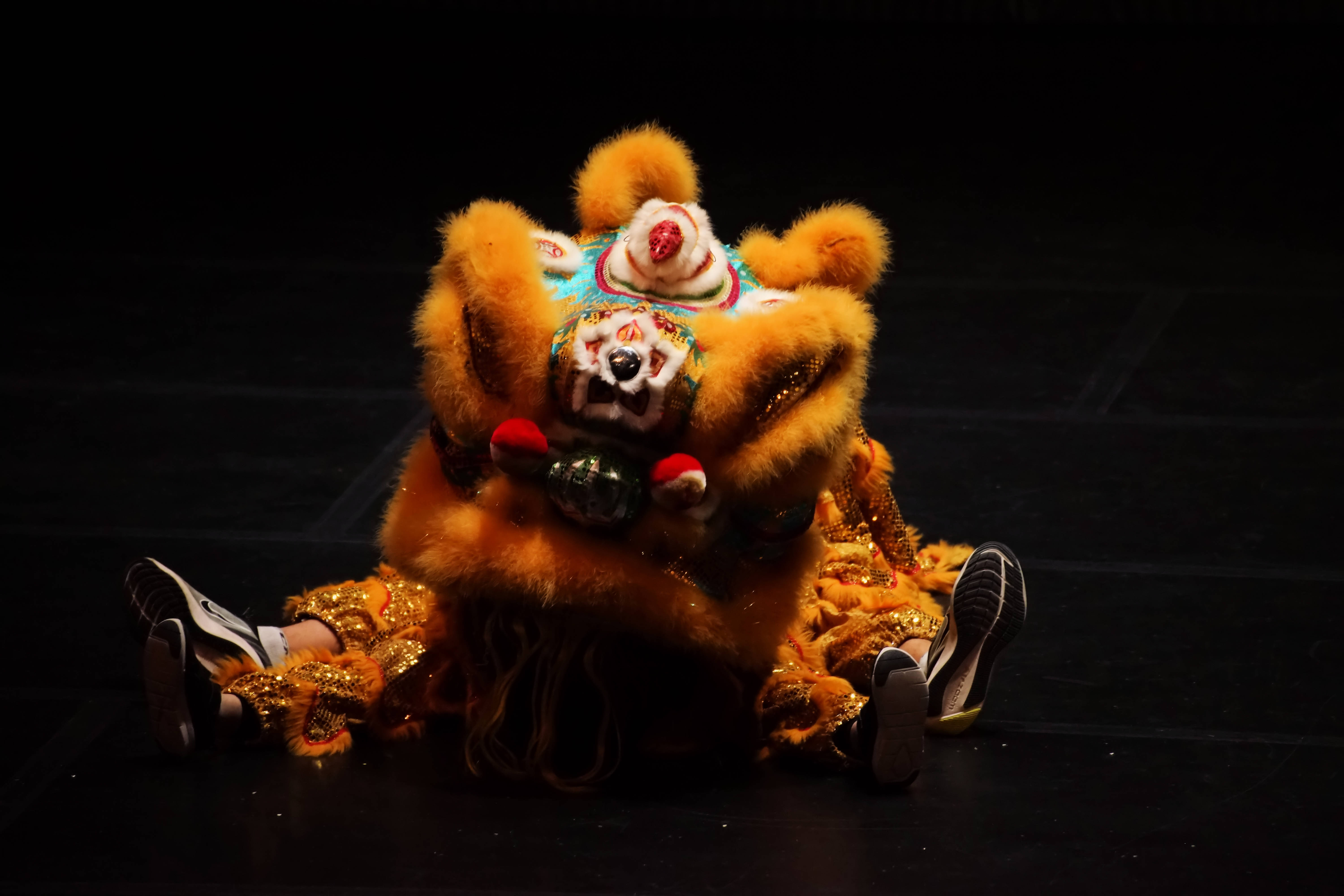 Martial Art, Lion Dance-2.jpg